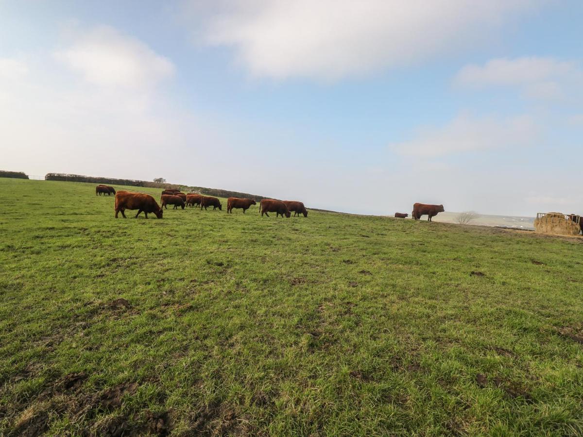 Home Farm Cottage Boscastle Luaran gambar